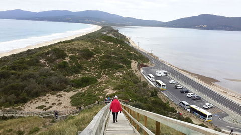Full-Day Bruny Island Tour From Hobart - Yamba Accommodation 7