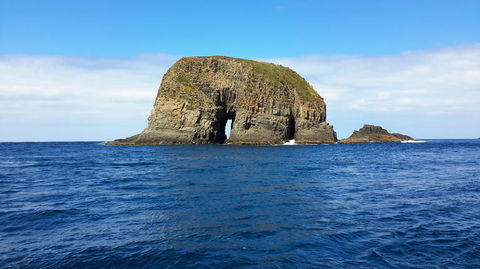 Full-Day Bruny Island Tour From Hobart - Yamba Accommodation 5