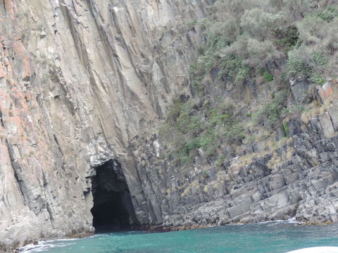 Full-Day Bruny Island Tour From Hobart - Yamba Accommodation 13