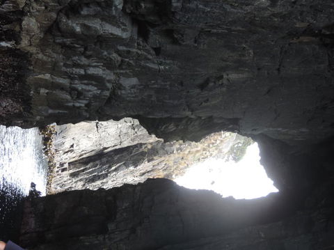 Full-Day Bruny Island Tour From Hobart - Yamba Accommodation 9