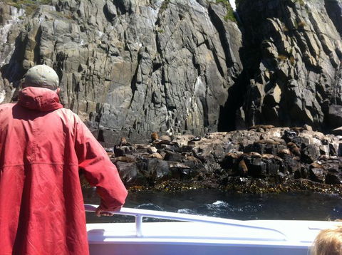 Full-Day Bruny Island Tour From Hobart - Yamba Accommodation 19