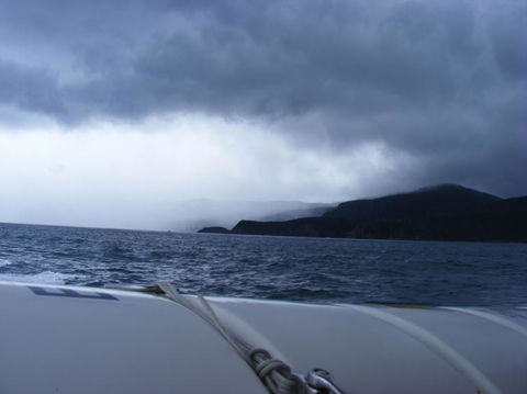 Full-Day Bruny Island Tour From Hobart - Yamba Accommodation 23