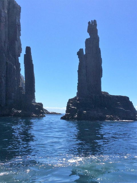 Full-Day Bruny Island Tour From Hobart - Yamba Accommodation 16