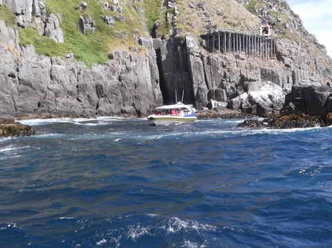 Day Trip To Tasman Peninsula And Port Arthur Historic Site From Hobart - Yamba Accommodation 5