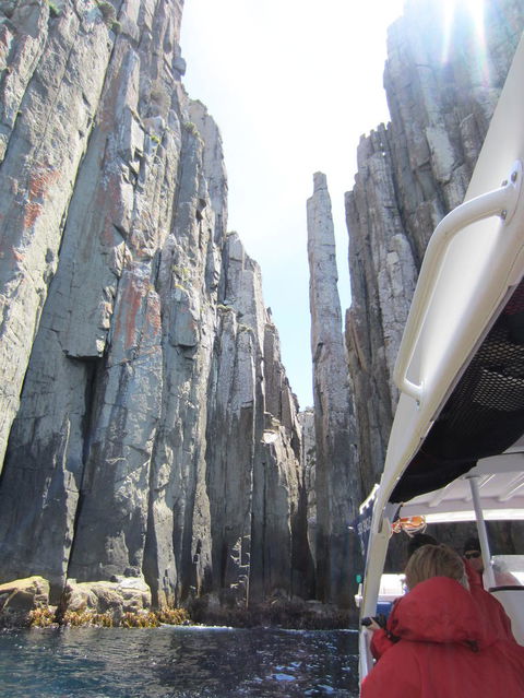 Day Trip To Tasman Peninsula And Port Arthur Historic Site From Hobart - Yamba Accommodation 8