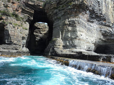 Day Trip To Tasman Peninsula And Port Arthur Historic Site From Hobart - Yamba Accommodation 6