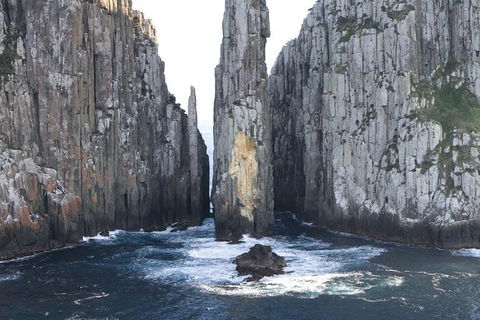 Day Trip To Tasman Peninsula And Port Arthur Historic Site From Hobart - Yamba Accommodation 9