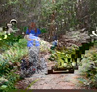 Hollybank Wilderness Adventures - Segway Tour - Yamba Accommodation