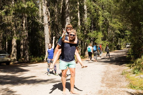 7-Day Best Of Tasmania Adventure Experience From Hobart (flexible Ticket) - Yamba Accommodation 5