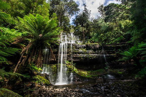 7-Day Best Of Tasmania Adventure Experience From Hobart (flexible Ticket) - Yamba Accommodation 3