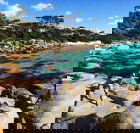 4-Day Tasmania East Coast Adventure from Launceston to Hobart Including Bay of Fires Wineglass Bay Bruny Island and Port Arthu - Yamba Accommodation