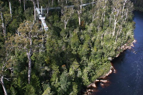 Cruise Ship Special From Hobart: Mt Wellington And Tahune AirWalk - Yamba Accommodation 1