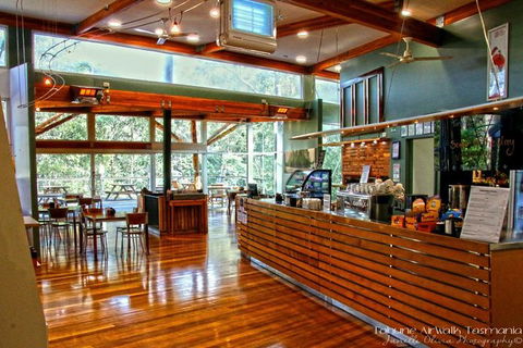 Cruise Ship Special From Hobart: Mt Wellington And Tahune AirWalk - Yamba Accommodation 5