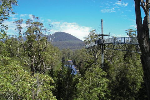 Cruise Ship Special From Hobart: Mt Wellington And Tahune AirWalk - Yamba Accommodation 4