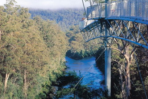 Small-groupTour From Hobart: Mt. Wellington, Huon Valley And Tahune AirWalk - Yamba Accommodation 0