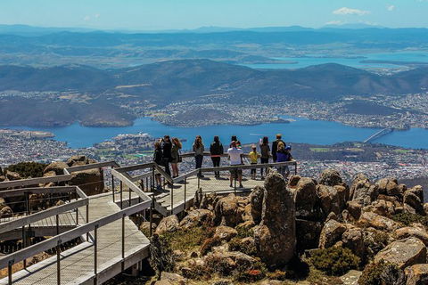 Small-groupTour From Hobart: Mt. Wellington, Huon Valley And Tahune AirWalk - Yamba Accommodation 5