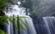 Mt. Field National Park And Bonorong Wildlife Park - thumb 1