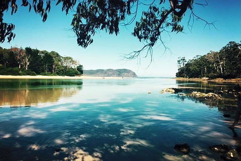 Full-Day Guided Bruny Island Tour From Hobart - Yamba Accommodation 1
