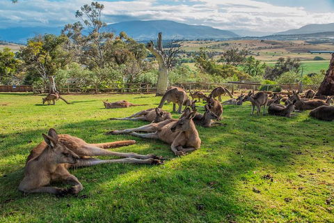 2 Day - Two Of Tasmania's Best Tour - Yamba Accommodation 1