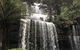 Wilderness And Wildlife - thumb 1