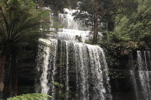 Wilderness And Wildlife - Yamba Accommodation 1