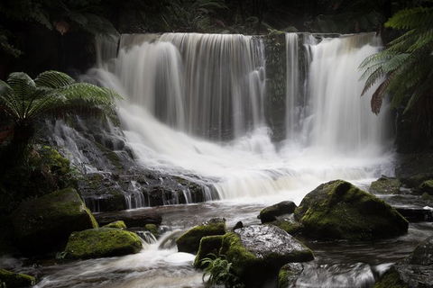 Mt Field National Park Premium Private Photo-oriented Day Tour From Hobart - Yamba Accommodation 0
