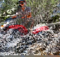 Quad Bike 2-Hour Adventure Freycinet National Park - Yamba Accommodation