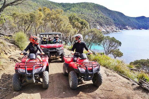 Quad Bike 2-Hour Adventure: Freycinet National Park - Yamba Accommodation 2