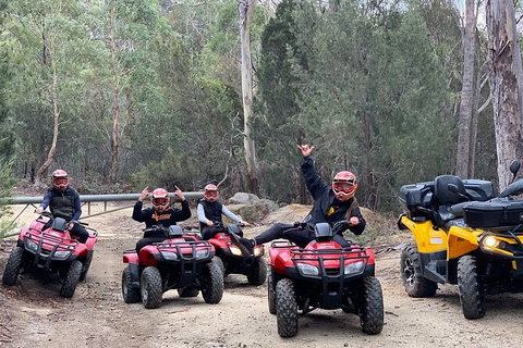 Quad Bike 2-Hour Adventure: Freycinet National Park - Yamba Accommodation 4
