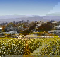 Josef Chromy Wines Winery Tour Including Tasting and Lunch - Yamba Accommodation
