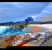 Bay of Fires Day Trip from Launceston - Yamba Accommodation