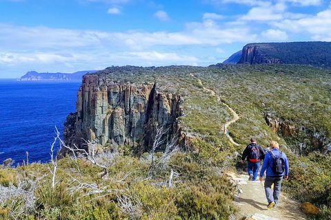 Cape Hauy Hiking Tour - Tasman National Park - Yamba Accommodation 0