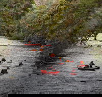Meander Wilderness Experiences - Yamba Accommodation