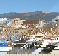 Private Mt Wellington Richmond Bonorong Wildlife Sanctuary Tour from Hobart - Yamba Accommodation