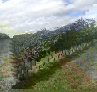 Coal River Valley  Hobart food  wine grazing tour - Yamba Accommodation