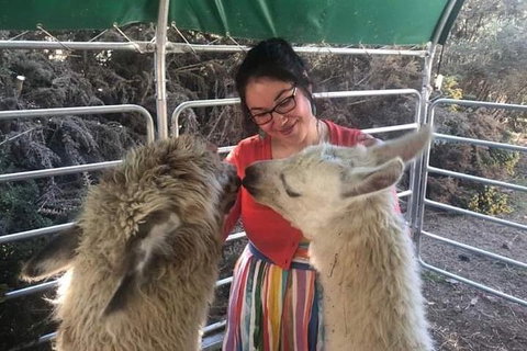 Farm Visit - Yamba Accommodation 1