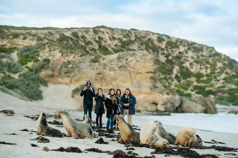 Small-Group Kangaroo Island 4WD Tour From Adelaide - Yamba Accommodation 0