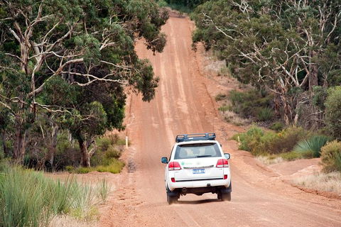 Small-Group Kangaroo Island 4WD Tour From Adelaide - Yamba Accommodation 7
