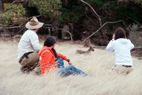 Small-Group Kangaroo Island 4WD Tour From Adelaide - Yamba Accommodation 6