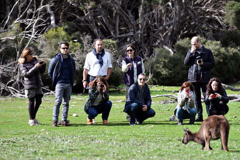 Small-Group Kangaroo Island 4WD Tour From Adelaide - Yamba Accommodation 3