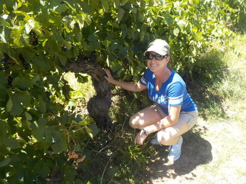 Barossa Valley Wineries Tour With Tastings And Lunch From Adelaide - Yamba Accommodation 11