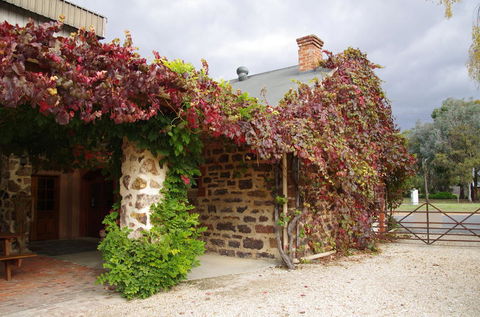Barossa Valley Wineries Tour With Tastings And Lunch From Adelaide - Yamba Accommodation 3