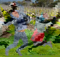 Mclaren Vale Luxury Full Day Small Group Wine Tour - Yamba Accommodation