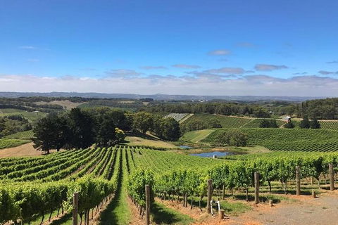 Small-Group Full-Day Adelaide Hills And Hahndorf Wine Tour From Adelaide - Yamba Accommodation 2