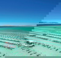 Coffin Bay Private Day Tour from Port Lincoln - A Taste of Coffin Bay - Yamba Accommodation