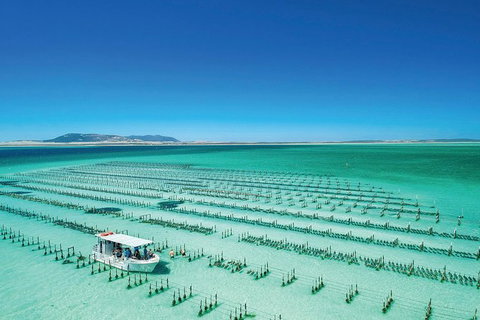 Coffin Bay Private Day Tour From Port Lincoln - A Taste Of Coffin Bay - Yamba Accommodation 0