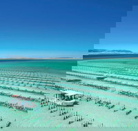 Coffin Bay Day Tour - A Taste of Coffin Bay - Yamba Accommodation