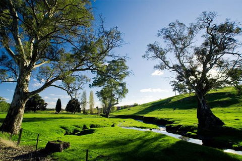 Adelaide Highlights And Hahndorf Tour With Optional River Cruise - Yamba Accommodation 0