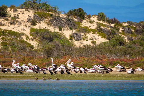 Murray Mouth Cruise - Yamba Accommodation 0