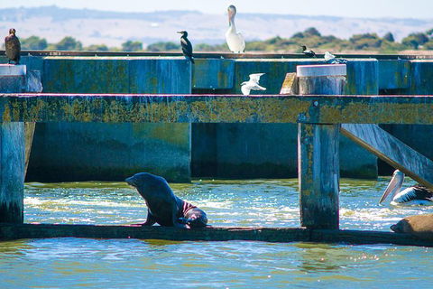 Murray Mouth Cruise - Yamba Accommodation 1